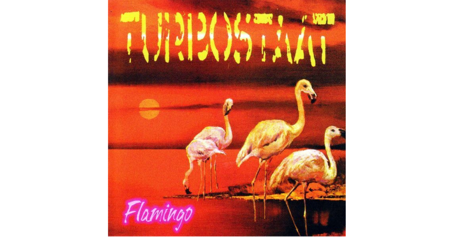Flamingo, CD